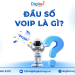 Đầu Số VoIP Là Gì? Có Khác Biệt Gì Với Đầu Số Cố Định?