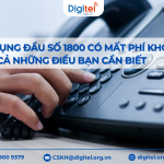Sử dụng đầu số 1800 có mất phí không? Tất cả những điều bạn cần biết