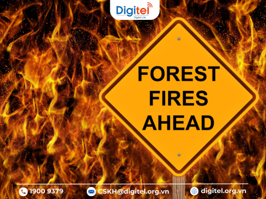 ầm quan trọng của hệ thống mạng LoRaWAn trong cảnh báo cháy rừng sớm