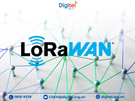 Lợi ích của mô hình rừng số hóa với mạng cảm biến LoRaWAN